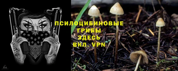 трава Ханты-Мансийск