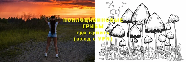 трава Ханты-Мансийск