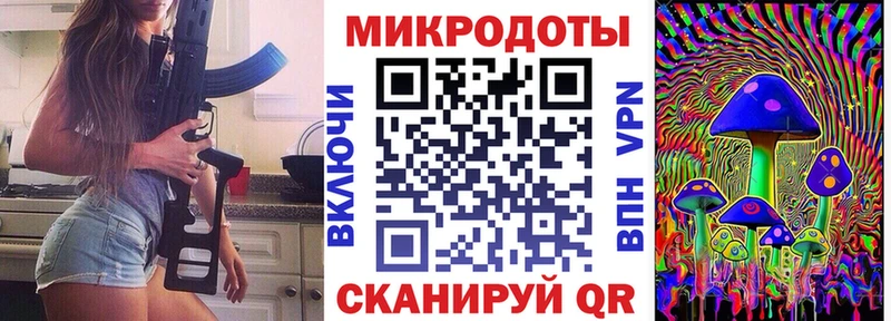 купить закладку Бородино мега ТОР Галлюциногенные грибы мицелий